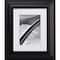 Craig Frames Upscale Satin Black Picture Frame with Mat